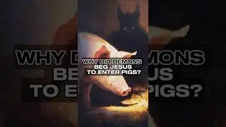 Why Did Demons Beg Jesus To Enter Pigs?