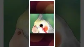 EYE INFECTION || FULL VIDEO IN CHANNEL || COCKATIEL TIPS AND CARE || TAMIL || #shorts