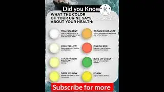 What Your Urine Color Says About Your Health