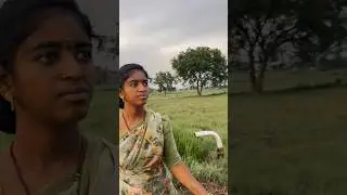 Rakhi festival&hellip;.???