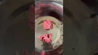 American Bully Dog Feeding Tutorial. Flintstonebullyline ￼