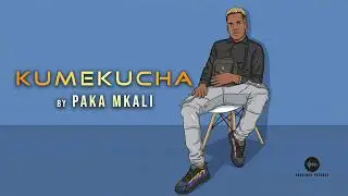 KUMEKUCHA _ PAKA MKALI (Official music audio)