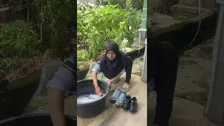 Hari libur saatnya cuci sepatu biar kinclong | Sri Rahayu dan keluarga 