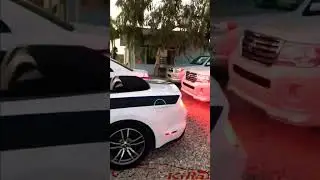 ford mustang 2017 year @carskilla4021 #business #facebook #fashion #pakistan #lahore