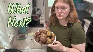 Sort, store, and preserve potatoes with me!