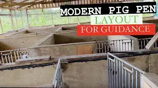 HOW TO BUILD A SIMPLE MODERN PIG PEN // LAYOUT