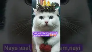 cat music 😺 #cat #funny #cute #comedy #viral #catfanny #catcute #catmoments #viralvideocatshots