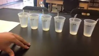 AP Biology Lab 1: Diffusion and Osmosis Part B