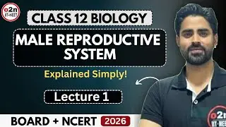 Male Reproductive System in ONE SHOT | Lecture 1 | NEET Biology Class 12 | NCERT
