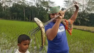 Amazing Fish Haunting  / Wild Style Fishing the Village / Snake Fish