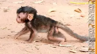 GreatbJob...........Strong Lucas Can Walk Slowly to his mom Leyla. Mom so happy