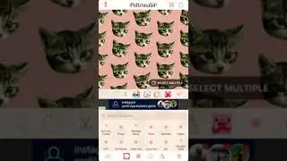 Dıy wallpaper&mdash;Patternator 👊