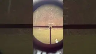 Mosin Nagant PU Sniper