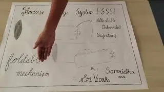 SYI ID SYI66787 | Название команды Care Step Solutions | Топ-2000 | SYI25