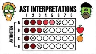 Essential Tips to Use and Interpret Antimicrobial Susceptibility Tests