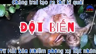 [Review Phim]- Đột Biến