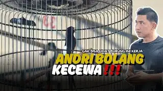 Lepas pantauan ANDRI BOLANG || MATA DEWA Juara Pembuka di Bolang Fans Semarang