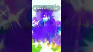 Can We Get A✨Shiny Suicune Today! #pokemongo #shiny #shorts