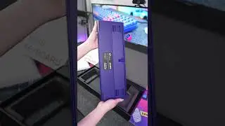 B&agrave;n ph&iacute;m AKKO 3098 Neon 2024 gi&aacute; cả sinh vi&ecirc;n nhưng vẫn đ&aacute;p ứng đầy đủ ti&ecirc;u ch&iacute; cho anh em đ&acirc;y