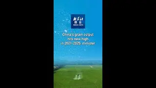 Xinhua News | China's grain output hits new high in 2021-2025: minister
