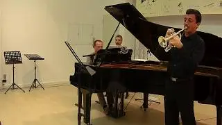 Lucas Lipari Mayer (Ita-Fra) - Telemann: Concerto in Re magg