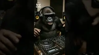 #edmmagic #electronicdancemusic #musicatechno