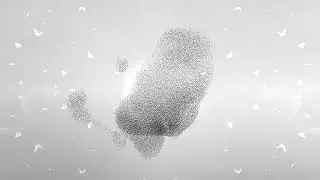 BRAZZIER Murmuration