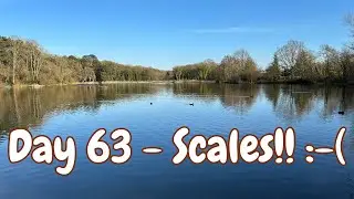 Day 63 - Scales!! | Type 2 Diabetes Path to Remission | Total Diet Replacement