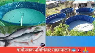 Biofloc fish farming in Nepal 🇳🇵🙏