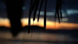 Zanski - Younger You 해석