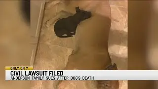 Family speaks out: files lawsuit after alleged drunk driver hits and kills dog in front of children