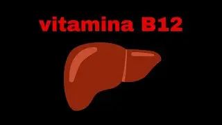 Quem vai cuidar de voc&ecirc; no futuro? B12 BAIXA