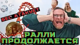 Ралли продолжается. Как долго продлится рост крипты? BULL AND BEAR