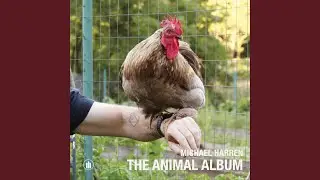 Kaporos