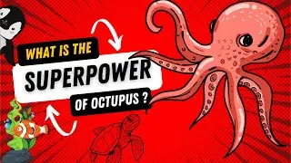 Discovering Ocean Wonders: A Fun Exploration for Kids!
