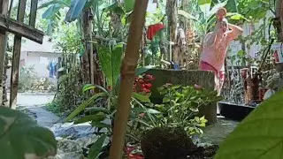 LIGO CHALLENGE SA BALON I BUHAY PROBINSYA I MOMSHIE LLANERA VLOG