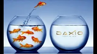 Игровая платформа Daxio - трендовое направление для инвесторов