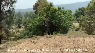 7 Naali Budget Plot For Sale | Almora-Ranikhet | Himalaya View | 3.5 Lakh/Naali | Call: 7830266010