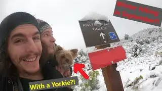Welcome to KDMZ adventures Travel Explore Snowboard Skateboard Hiking Dogs Vanlife DIY and Much MORE