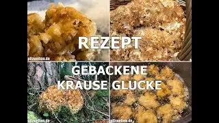 REZEPT: Gebackene Krause Glucke | Krause Glucke zubereiten | Sparassis crispa