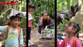 K1 Half Day Trekking_Chestnut Park