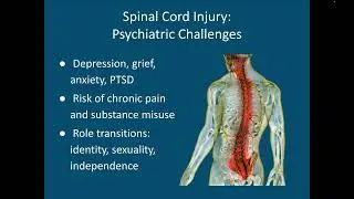 Psychiatry in Rehabilitation Medicine - PM&R - Spinal Cord Injuries