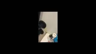 bluedry blue storm hand dryer ♿🚼 the two helmets new Brighton walisy