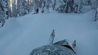 Rabbit Ears Pass : Snowmobile Backcountry Tree Riding 12/23/2018