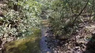 Blue Ridge Electric Co-op Passage - Palmetto Trail