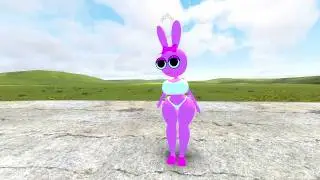 What's REALLY Inside the SUS Miss Pinki in Garry’s Mod!