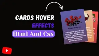 Animated Cards Hover Effects || Html And Css