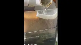 Aquarium Filtration Basics