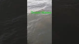 Wavy ocean. catch the wave #catchthewave #travelvlog #travelguide #waves #viral #welcometonewyork