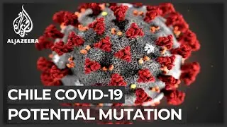 Scientists investigate possible coronavirus mutation in Chile
